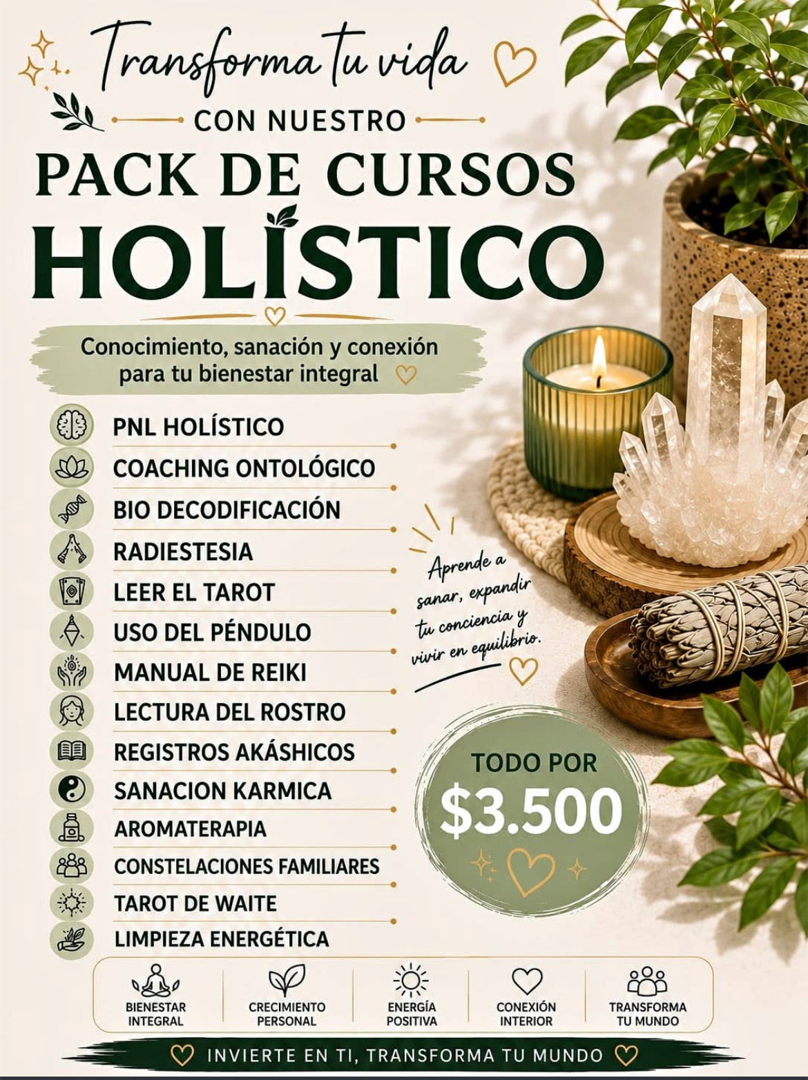 Pack de 20 Cursos Holisticos Digitales